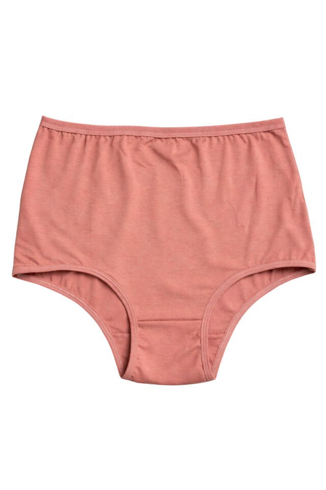 Kadın 6'lı Likralı Ekstra Yüksek Bel Pamuk Külot