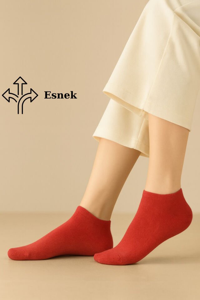 6 Çift Pamuklu Kadın Çorap Pastel Renkli - Bilek Çorap